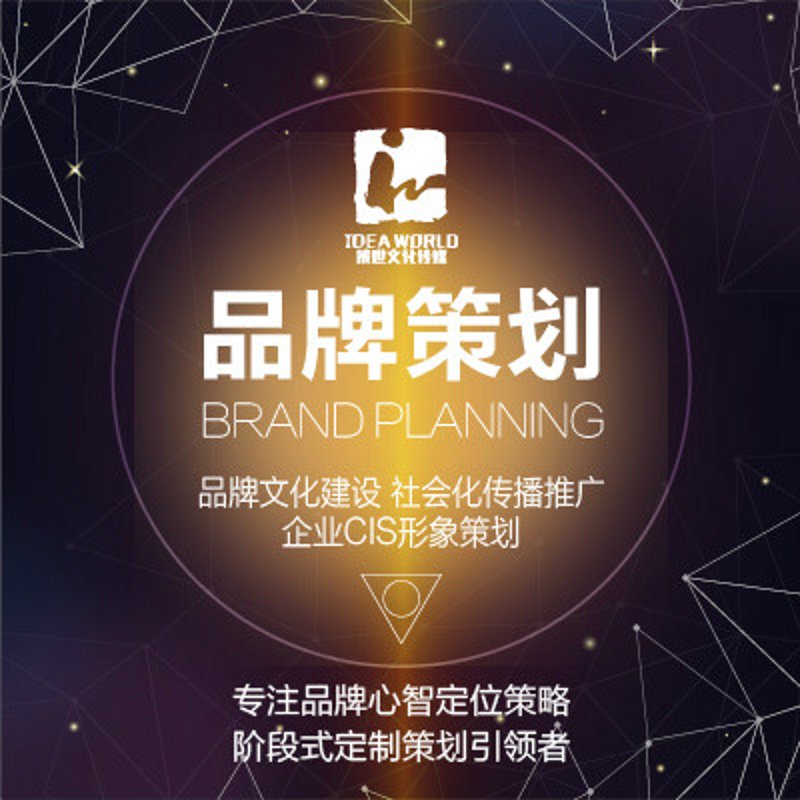 品牌策划创新引领企业未来